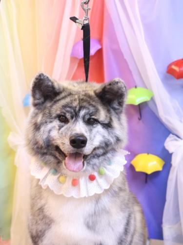 20230607むぎくん